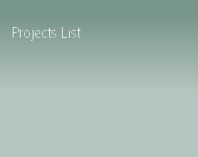 Projects List